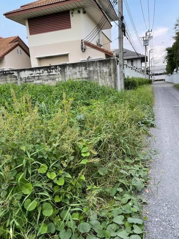 ขายที่ดิน 346 ตารางวา  เทศบาลนครปากเกร็ด อำเภอปากเกร็ด นนทบุรี