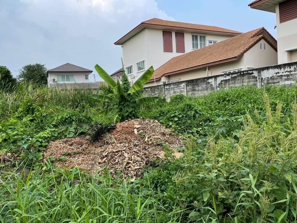 ขายที่ดิน 346 ตารางวา  เทศบาลนครปากเกร็ด อำเภอปากเกร็ด นนทบุรี