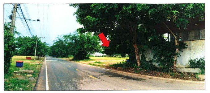 ขายที่ดิน 31 ไร่ 1 งาน 4 ตารางวา เจ้าของขายเอง อำเภอหนองเรือ จังหวัดขอนแก่น