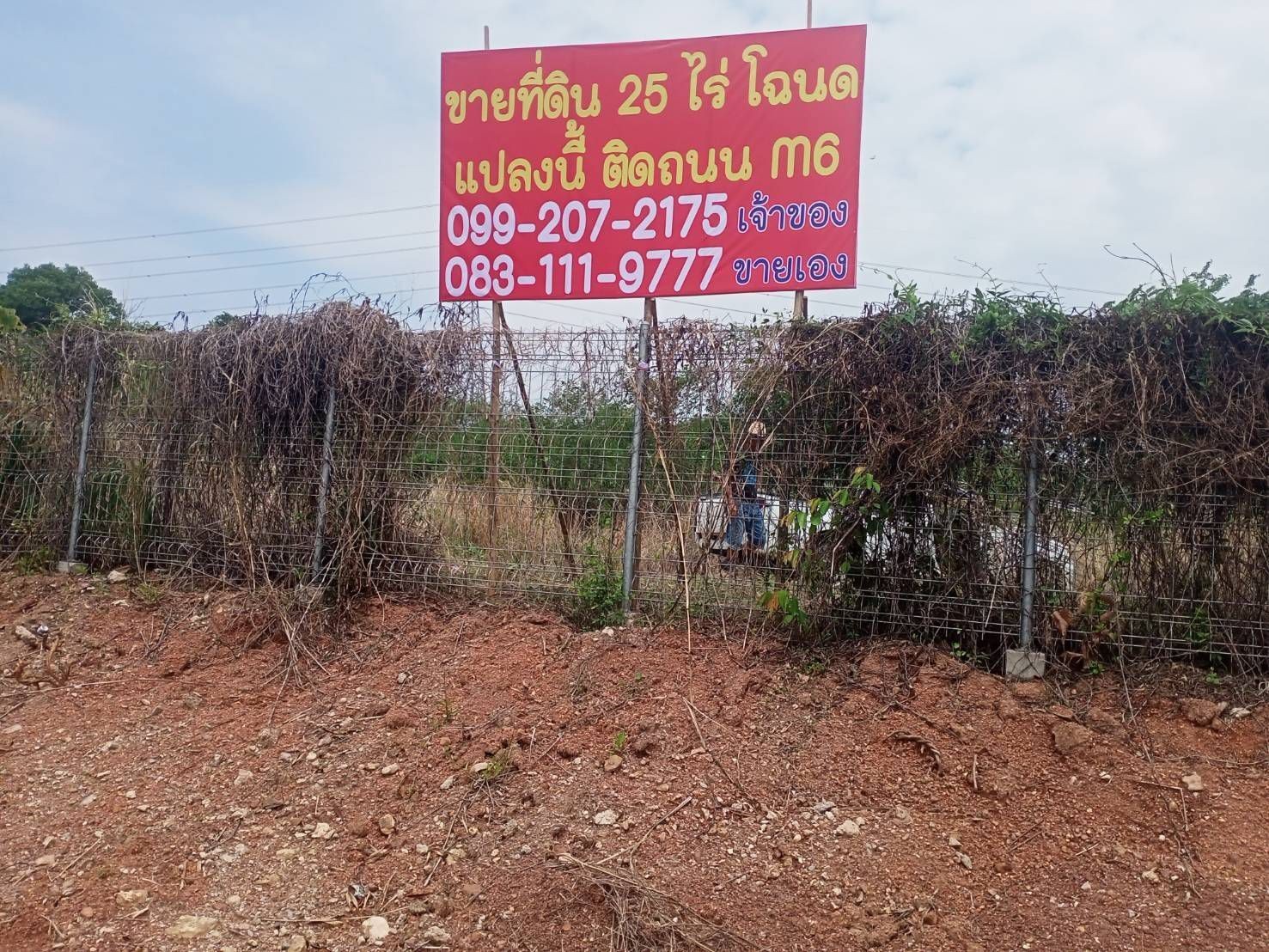 ขายที่ดินเปล่า 25 ไร่ หน้ากว่าง 300 เมตร ติดถนนมอเตอร์เวย์ M6 โคราช 