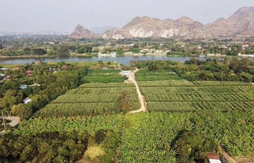 ขายที่ดิน ริมน้ำในเมืองโอกาสแบบนี้ไม่ได้มีบ่อย — แปลงใหญ่ วิวภูเขา ติดแม่น้ำแควน้อย