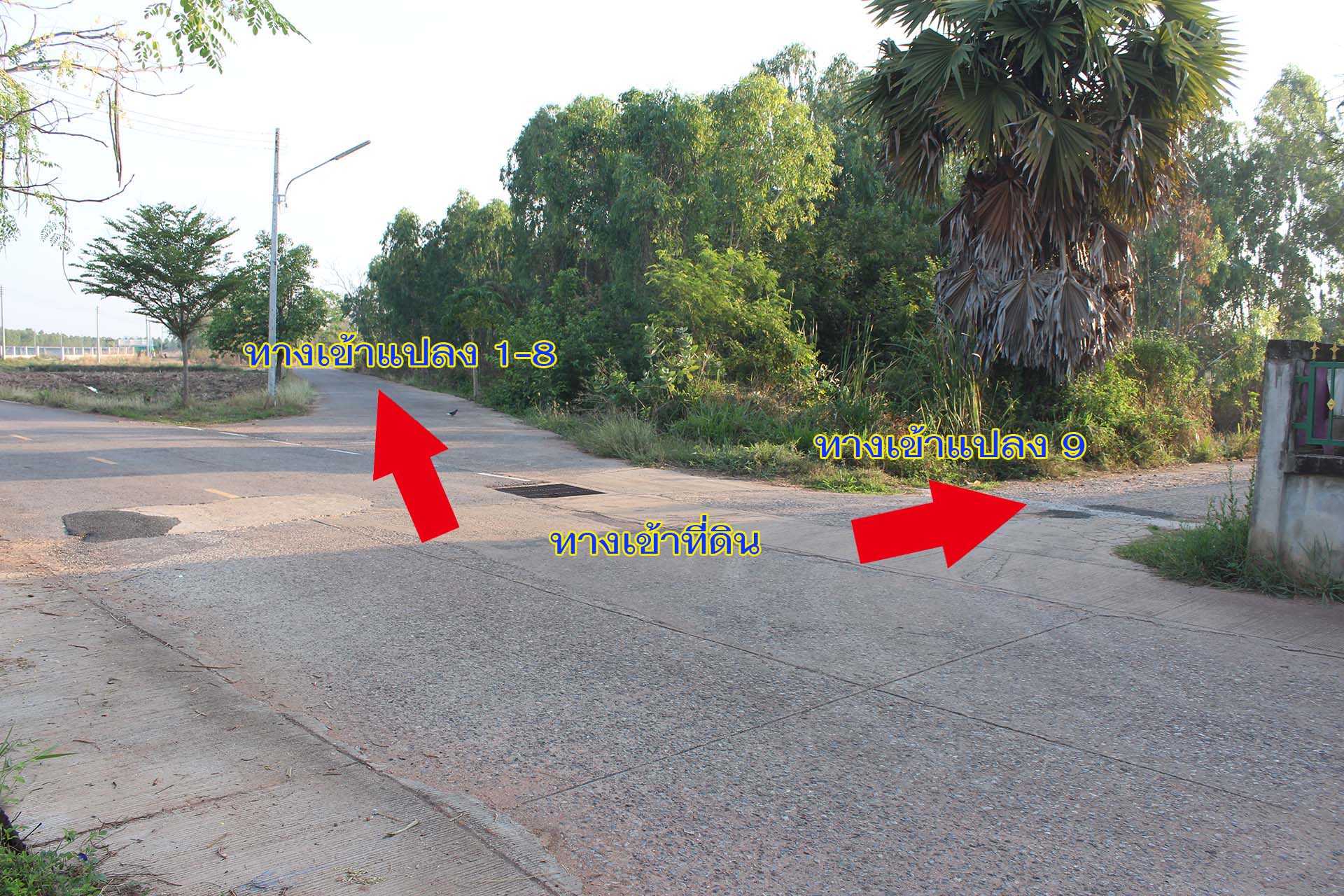 ที่ดินในเขตเทศบาล จังหวัดขอนแก่น