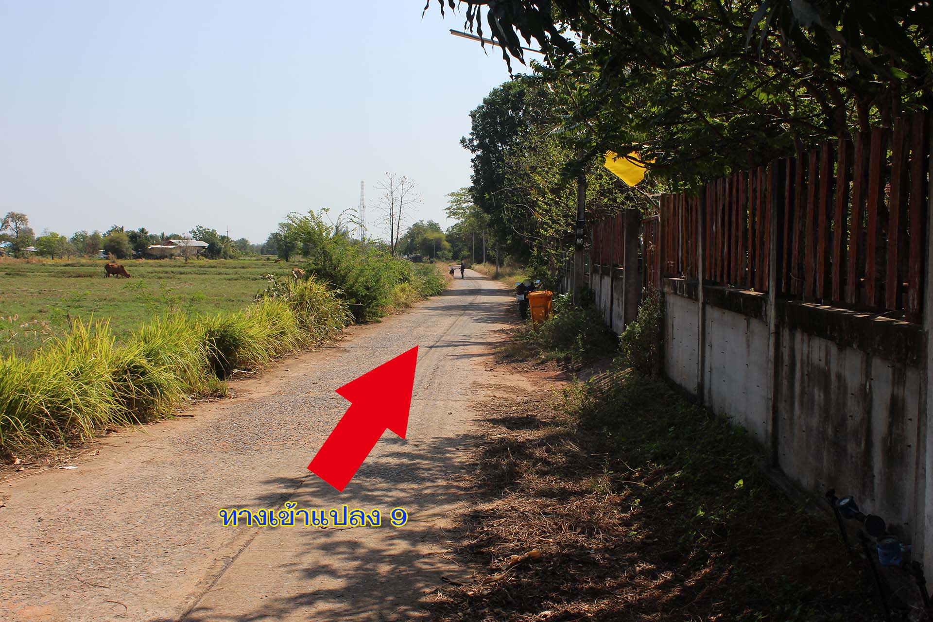 ที่ดินในเขตเทศบาล จังหวัดขอนแก่น