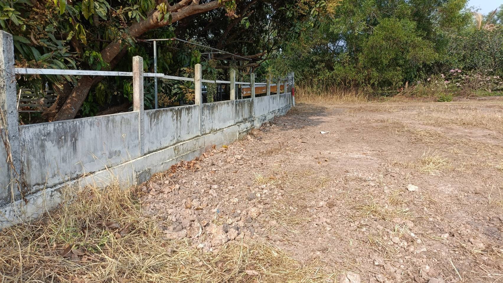 ขายที่ดินเนื้อที่ 2 ไร่ ติดรีสอร์ทบ้านสกายฟราวเวอร์ ต.หนองหมู อ.วิหารแดง จ.สระบุรี