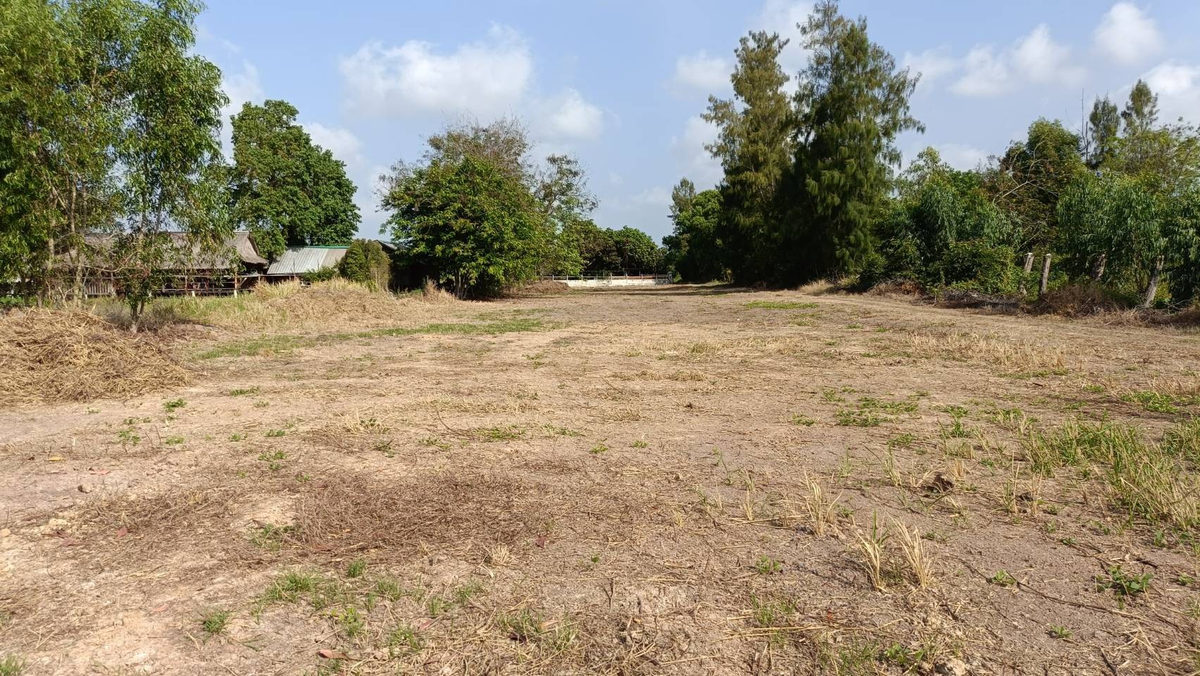 ขายที่ดินเนื้อที่ 2 ไร่ ติดรีสอร์ทบ้านสกายฟราวเวอร์ ต.หนองหมู อ.วิหารแดง จ.สระบุรี