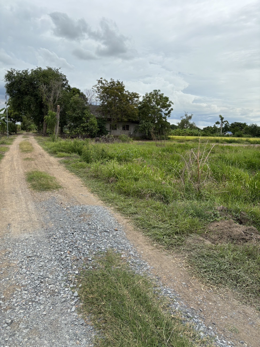 ขายที่ดินพร้อมบ้านพักตากอากาศ ทำเลทอง หนองน้ำแดง 