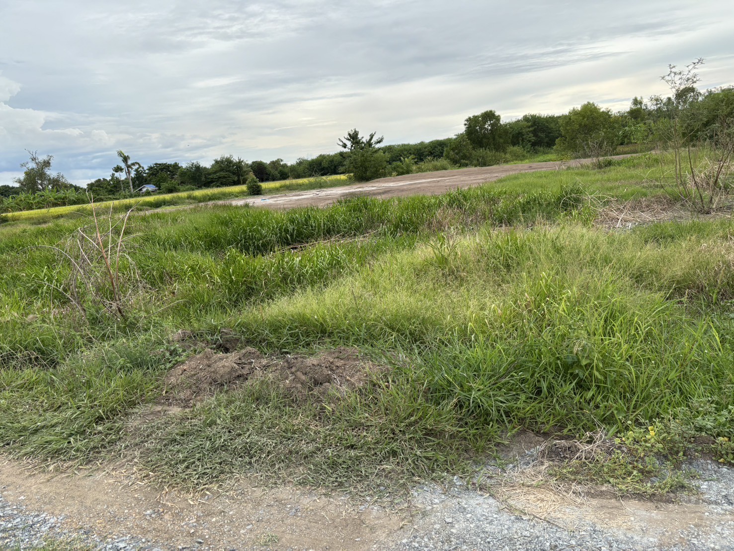 ขายที่ดินพร้อมบ้านพักตากอากาศ ทำเลทอง หนองน้ำแดง 