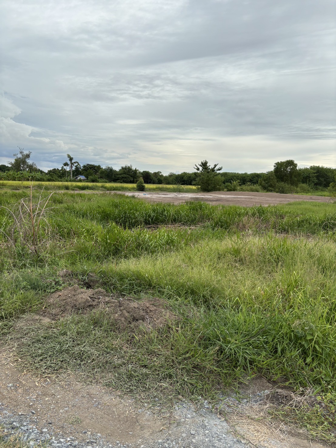 ขายที่ดินพร้อมบ้านพักตากอากาศ ทำเลทอง หนองน้ำแดง 