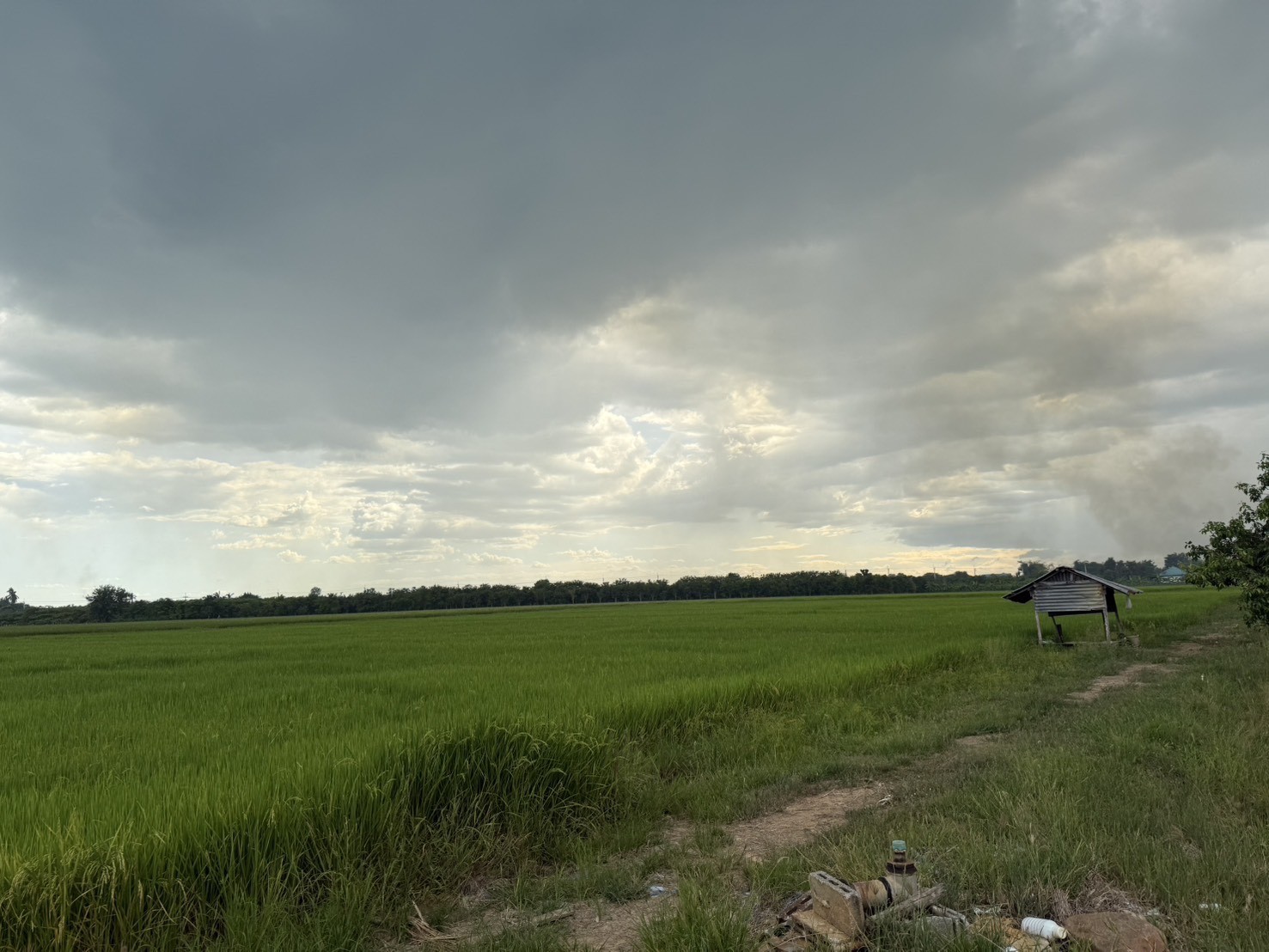 home-1