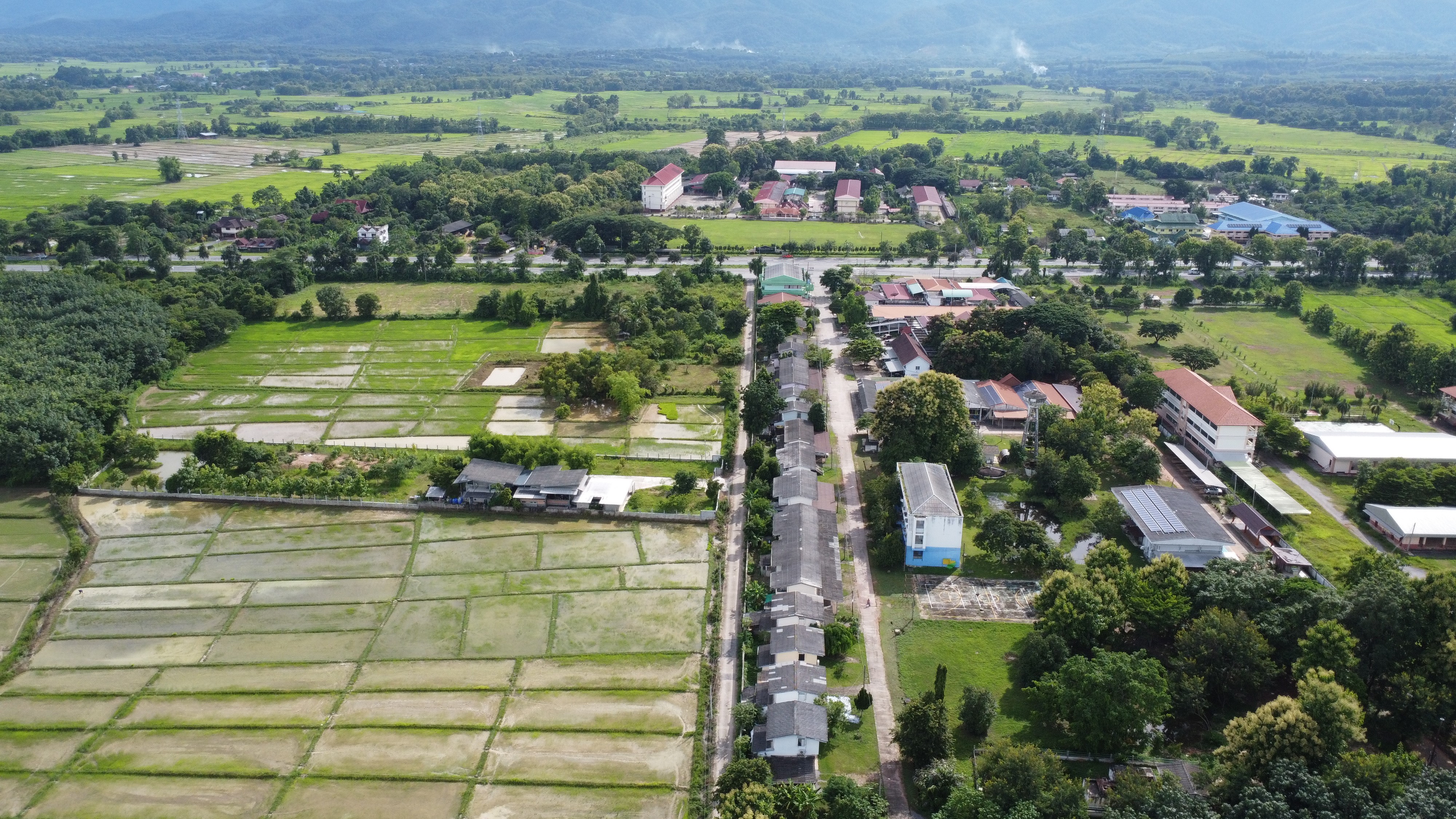 ขายที่ดินสวย ทำเลดี  1 ไร่ 2 งาน อำเภอแม่ใจ จังหวัดพะเยา 