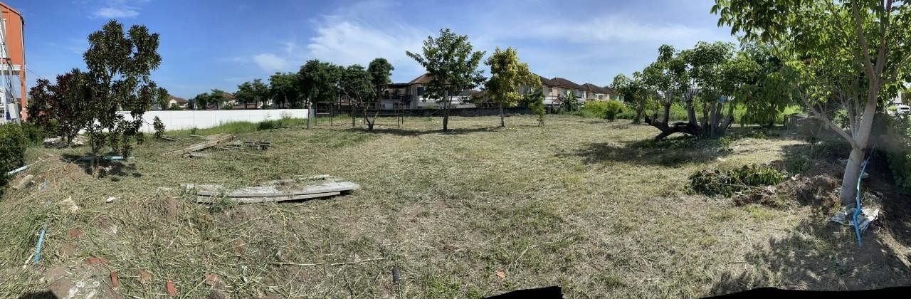 home-1