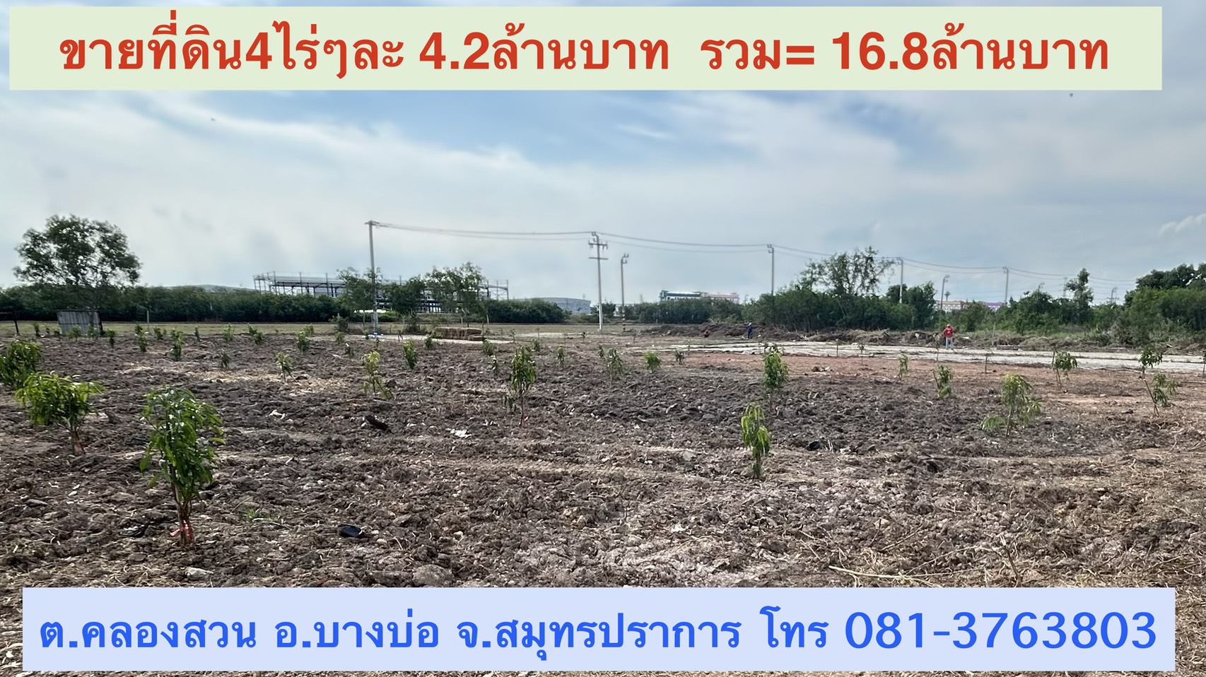 ขายที่ดินขนาด 4 ไร่ ใกล้สนามบินสุวรรณภูมิ  ตำบลคลองสวน อำเภอบางบ่อ จังหวัดสมุทรปราการ