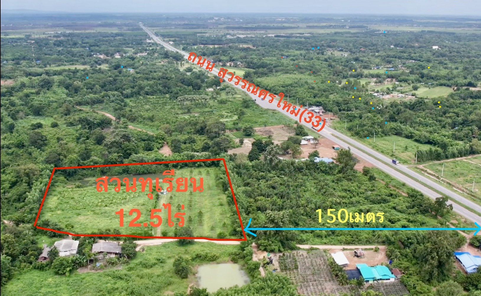 ขายสวนทุเรียน  12.5 ไร่  ตำบลโนนห้อม อำเภอเมือง จังหวัดปราจีนบุรี