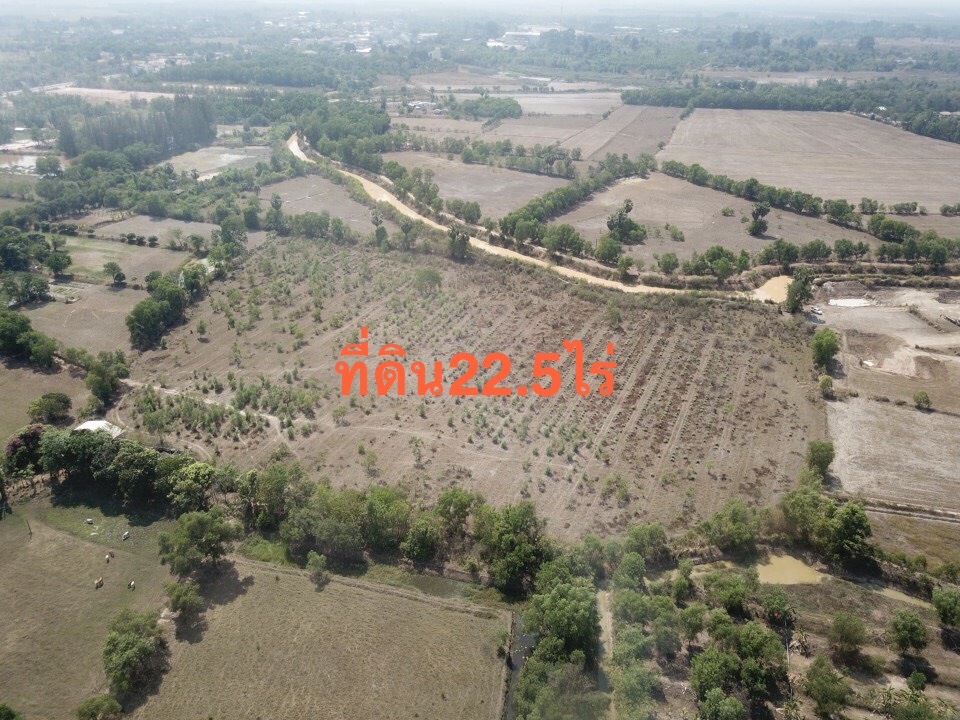ขายที่ดินขนาด 22.5 ไร่ ใน อำเภอประจันตคาม จังหวัดปราจีนบุรี 