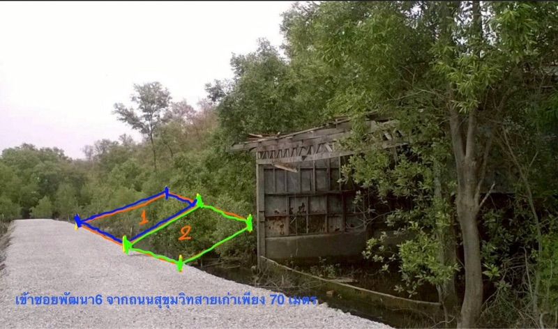 ขายที่ดินเปล่า นส4 มี2แปลง 68,69 ตรว. ล้านต้นๆ ที่ดินห่างจากถนนสุขุมวิทสายเก่าเพียง70 เมตร
