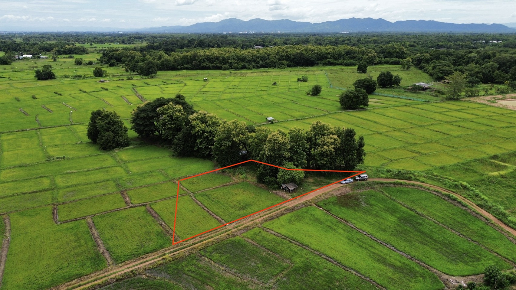 ขายด่วน! ที่ดิน อ.เมืองลำปาง 1 ไร่ 61 ตร.ว. เพียง 350,000 บ. #ฟรีค่าโอน ต่ำกว่าราคาประเมิน ติดทางสาธารณะและลำเหมือง โทร 0656616115